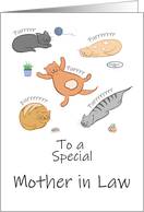 Mother in Law Birthday Funny Cartoon Cats Sleeping and Purring card