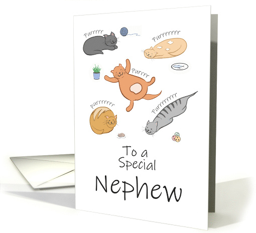 Nephew Birthday Funny Cartoon Cats Sleeping and Purring card (1725200)