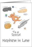 Nephew in Law Birthday Funny Cartoon Cats Sleeping and Purring card