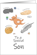 Son Birthday Funny Cartoon Cats Sleeping and Purring card