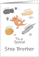 Step Brother Birthday Funny Cartoon Cats Sleeping and Purring card