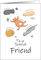 Friend Birthday Funny Cartoon Cats Sleeping and Purring card