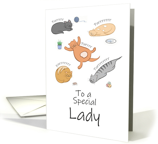 Special Lady Birthday Funny Cartoon Cats Sleeping and Purring card
