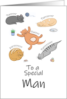 Special Man Birthday Funny Cartoon Cats Sleeping and Purring card