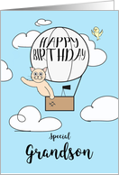 Grandson Birthday Across the Miles Cute Cat in Hot Air Balloon card
