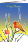 Merry Christmas - Robin redbreast and midwinter sun card