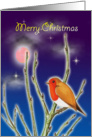 Merry Christmas - Robin redbreast with moon and stars card