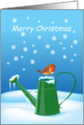 Merry Christmas- Robin redbreast on frozen watering can card