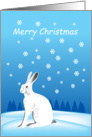 Merry Christmas- winter hare and snowflakes card