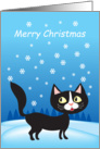 Merry Christmas- black cat and snowflakes card