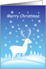 Merry Christmas-white dee and snowflakes card