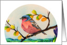 Happy Birthday Chaffinch card