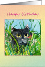 Happy Birthday Black cat card