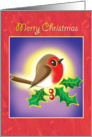 Merry Christmas-Robin with Holly card