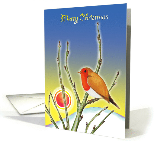 Merry Christmas - Robin redbreast and midwinter sun card (1154244)