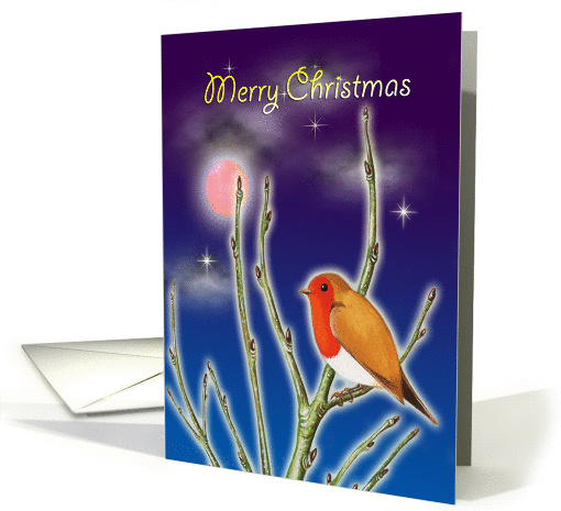 Merry Christmas - Robin redbreast with moon and stars card (1154248)