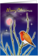 Merry Christmas - Robin redbreast with moon and stars card