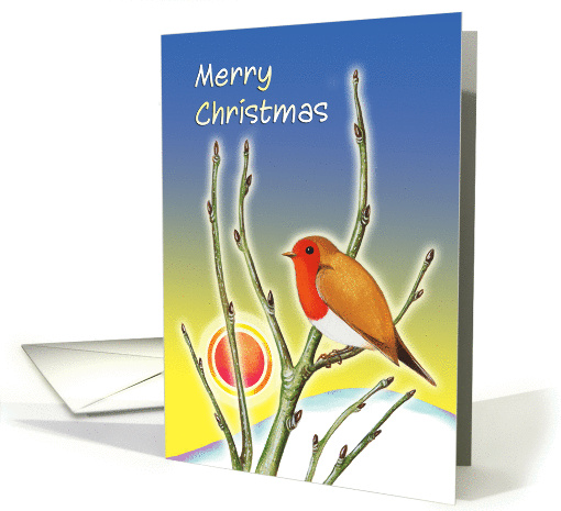 Merry Christmas - Robin redbreast and midwinter sun card (1315634)
