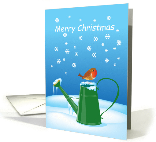 Merry Christmas- Robin redbreast on frozen watering can card (1391610)