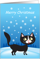 Merry Christmas- black cat and snowflakes card