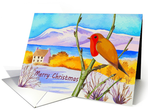 A Merry Christmas Card with Robin Redbreast Cottage Snowy... (1654820)