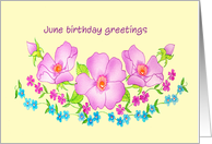 June birthday greetings card