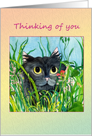 Thinking of you Black cat card