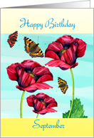 Happy Birthday- September red poppies and butterflies card