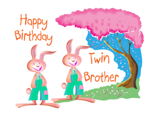 Happy Birthday- Twin...