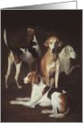 A Study of Fox Hounds by Agasse, Jacques-Laurent card