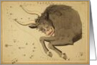Tauras zodiac illustration by Sydney Hall card