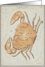 Cancer zodiac illustration by Sydney Hall card