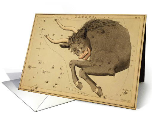 Tauras zodiac illustration by Sydney Hall card (1737716)