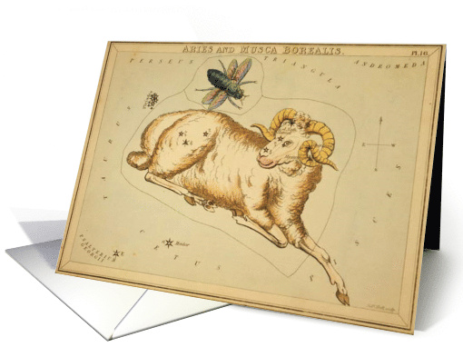 Aries zodiac illustration by Sydney Hall card (1737718)