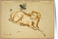 Aries zodiac illustration by Sydney Hall card