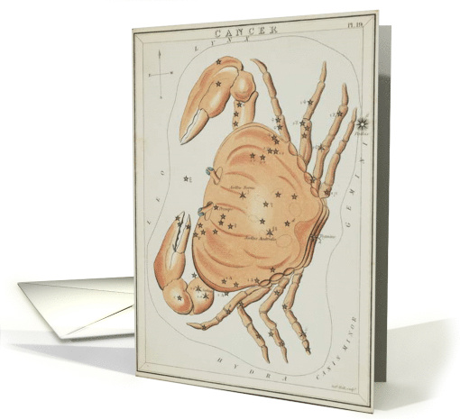 Cancer zodiac illustration by Sydney Hall card (1737722)