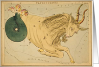 Capricorn zodiac illustration by Sydney Hall card
