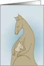 New Baby Boy - Kangaroo Hugs in blue card