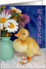 Easter Blessings - Baby Duckling with Wild Flowers card