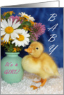 New Baby Announcement - Baby Duckling with Wild Flowers card