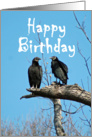 Happy Birthday, You Buzzard card