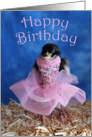 Happy Birthday Ballet Dancer Ballerina Cute Chick card