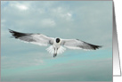 Seagull Flying in Beautiful Blue Sky with White Puffy Clouds and Ocean card