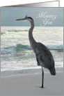 Missing You - Great Blue Heron at Beach card