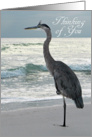 Thinking of You - Great Blue Heron card