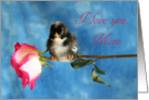 Happy Birthday Mom - Cuckoo Maran Baby Chicken and Pink Rose card