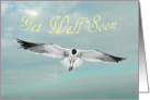 Get Well - Seagull card