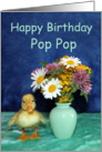 Happy Birthday Pop Pop - Yellow Pekin Duckling with Wild Flowers card