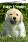 Happy 18th Birthday - Yellow Labrador Retriever Puppy card