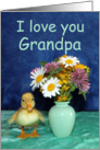 I Love You Grandpa, Get Well - Duckling with Wild Flowers card